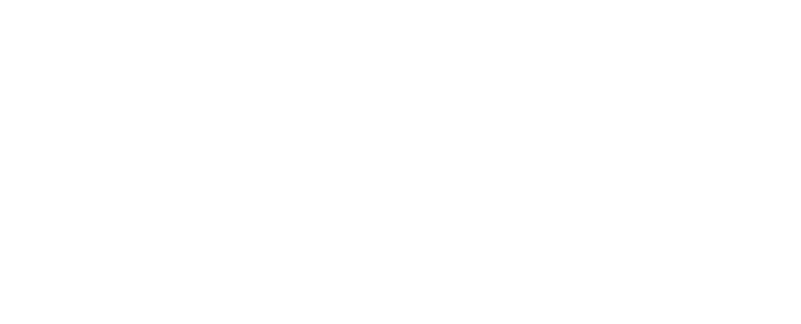 Sapient Select Tech (1)